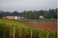 winecountryfarm5