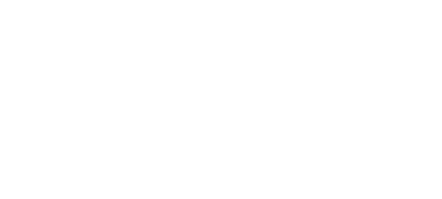 Poynt Logo